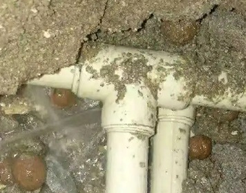 绥滨测漏水多少钱