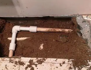 绥滨测漏水哪家好