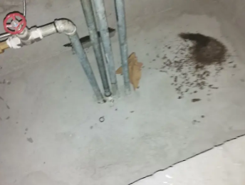 绥滨卫生间测漏水价格明细