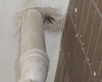 绥滨漏水检测哪家好